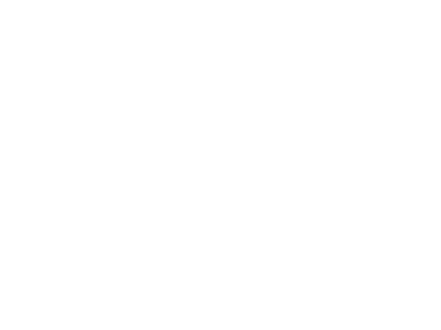 anomadicbuss 400x300 min